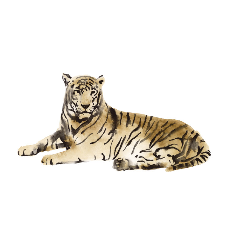 Tigre aquarelle I, H 24 po x l 36 po x P 1,25 po