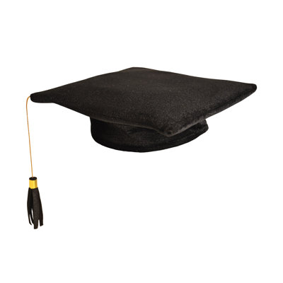 Plush Graduate Cap - Pack of 12