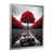 Silver Single Picture Framed