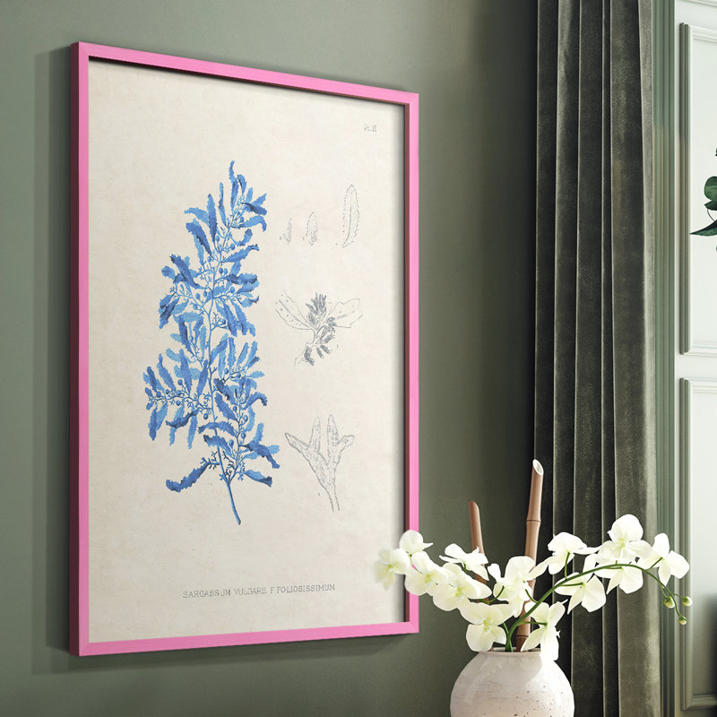 «Blue Marine Algae VI», reproduction encadrée - bois massif, Cadre photo rose simple, H 10 po x l 8 po
