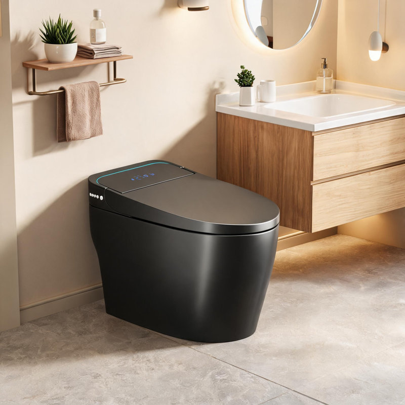 One Piece Smart Bidet Toilet in Black with Automatic Opening and Closing Seat, Warm Water Wash and Built In Dryer