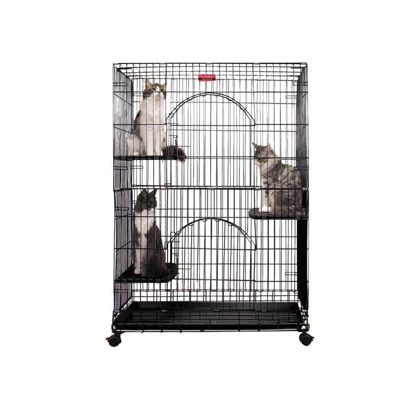 Cage pour chat avec roue Rosemond, Noir