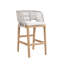 Amadora Bar Chair - Silver-580460311