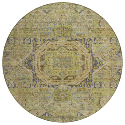 Machine Washable Indoor/Outdoor Xhevrie Aloe Rug