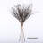 36" Birch Twigs Decorative Branches