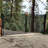 Automated Steel Dual Swing Driveway Gate and Gate Opener Complete Kit – MILAN Style – ETL Listed-72610555