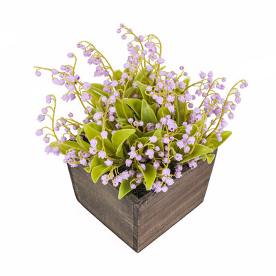 Muguet dans une boîte en bois