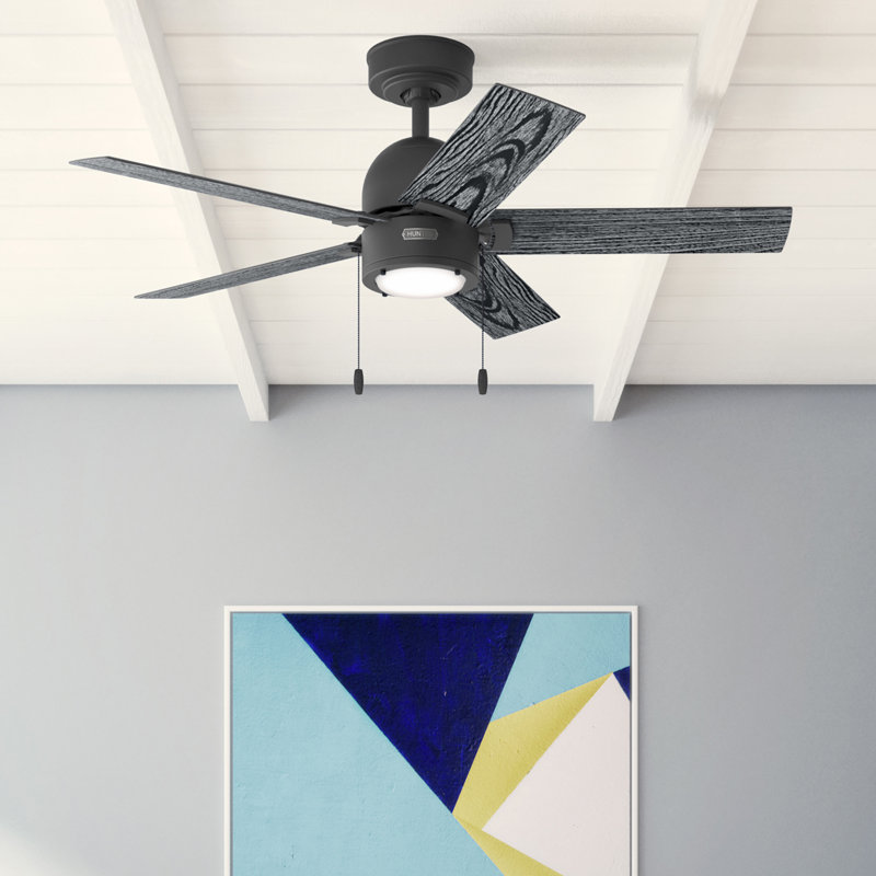44" Erling 5 - Blade Ceiling Fan with LED Light Kit and Pull Chain, Matte Black