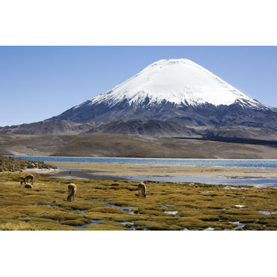 Volcano and Vicuna 1 Piece Wrapped Canvas Wall Art