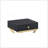 Coleen Black & Brass Finish Accent Table