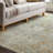 Divina Oriental Indoor Rug-92257216