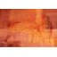 Parvez Taj - Wrapped Canvas Print-849990319