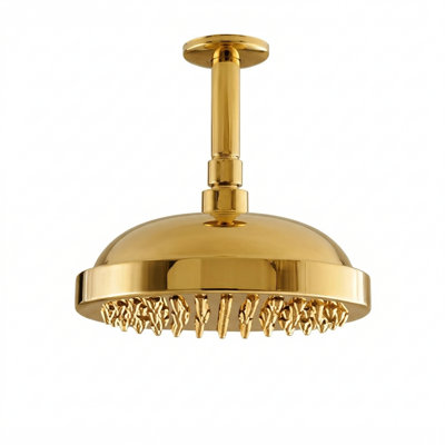 Tête de douche de plafond 8 po avec accoudoir de 4 po et écusson