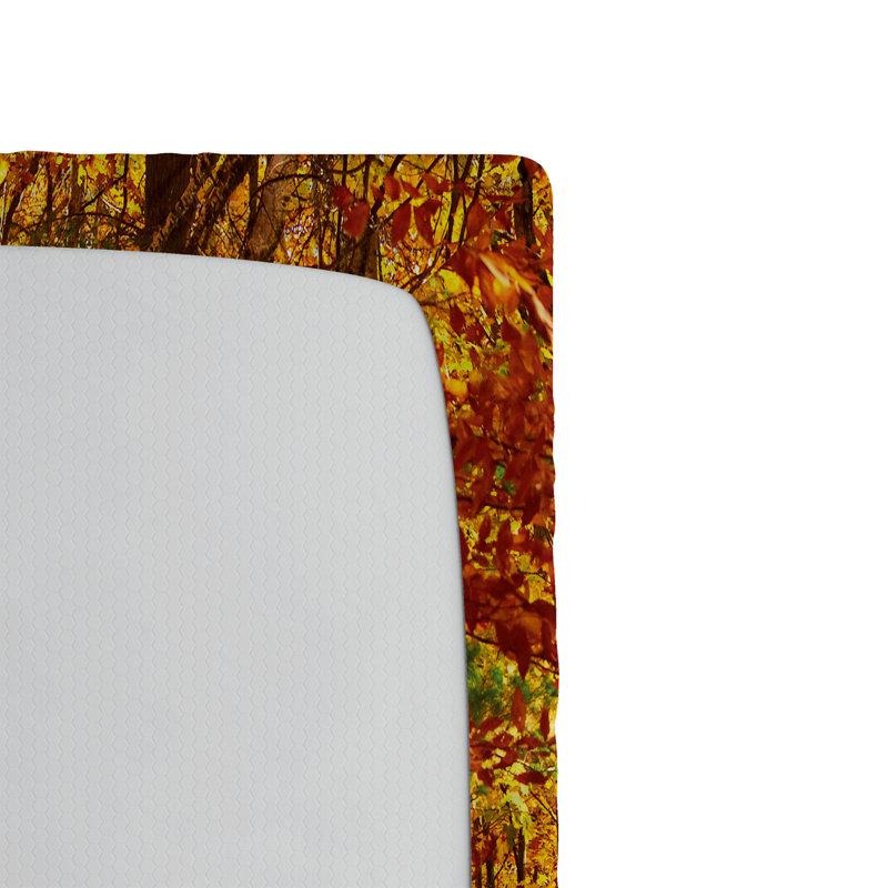 Ambesonne Fall Fitted Sheet 2-Pack Scenic Outdoors Empty Road Redwood Yellow Orange, Twin Extra Long Fitted Sheet