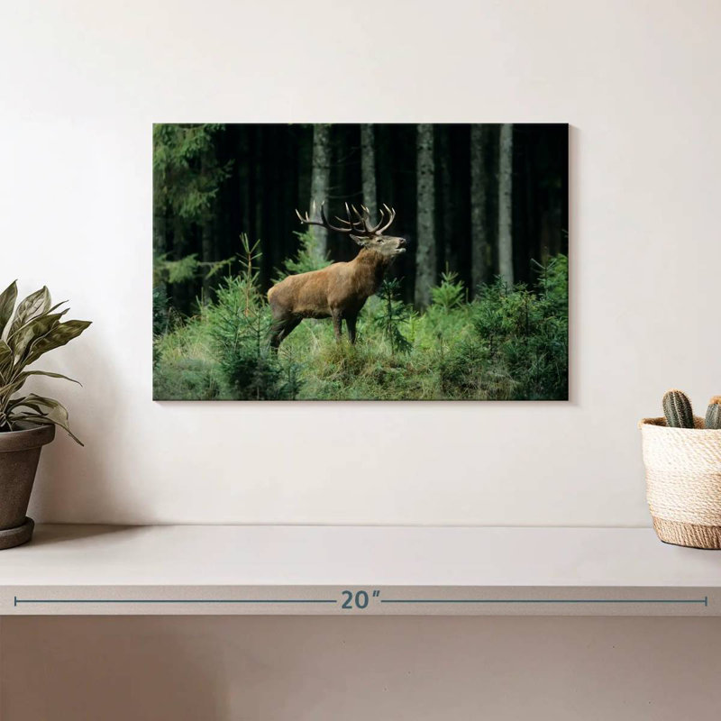 Crowle Elk Bugle, 8" H x 12" W