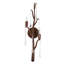Morning Grove Wall Sconce-670022351