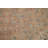 Traditional Area Rug 7x10