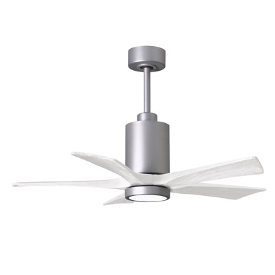 Patricia LED Downrod Ceiling Fan