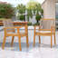 Outdoor Dining Chairs Set Of 2