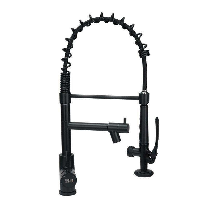 Belfry Kitchen Burhill Pull Out Kitchen Faucet, Black