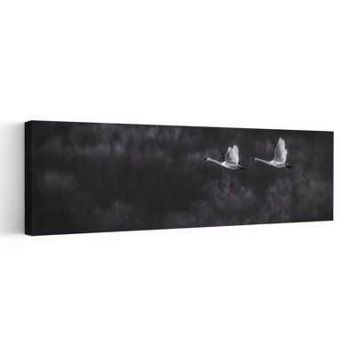 Cygnes dans un vol sombre, art dramatique abstrait élégant, faune, art mural