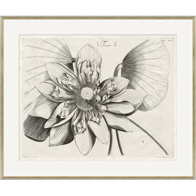 Malaberica Brittanica 6 Framed