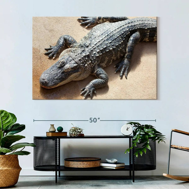 Crowle Alligator
