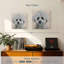 Crowle Bichon Frise Cassie-111890580