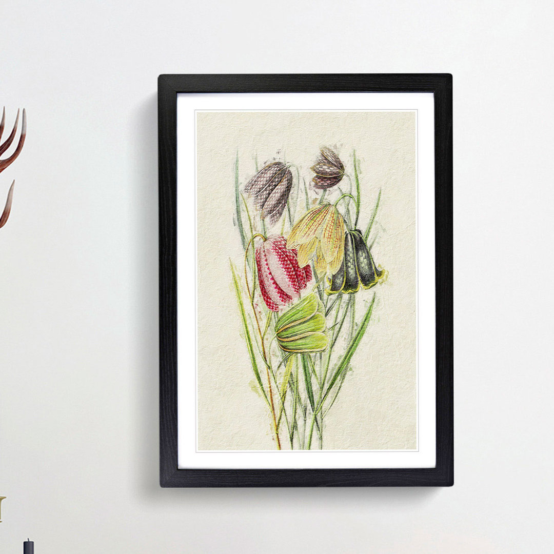 Illustration of Fritillaria Lily Flowers - Picture Frame Painting Print
