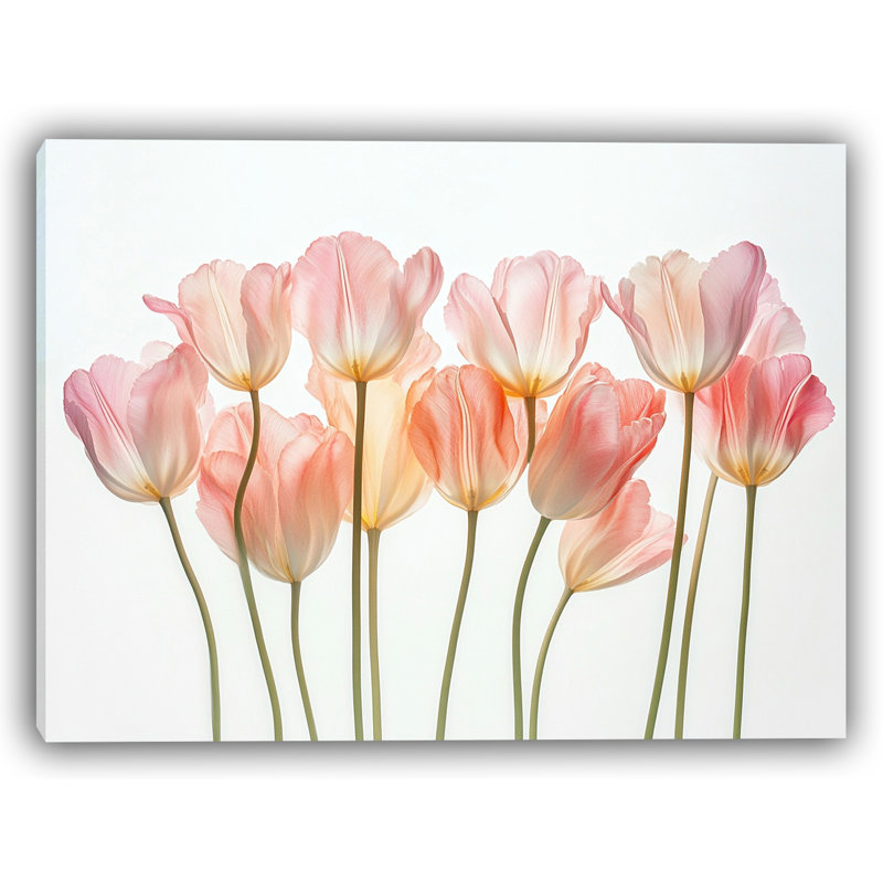 «Soft Petal Dance» - tulipe rose, art mural sur toile, H 16 po x l 24 po