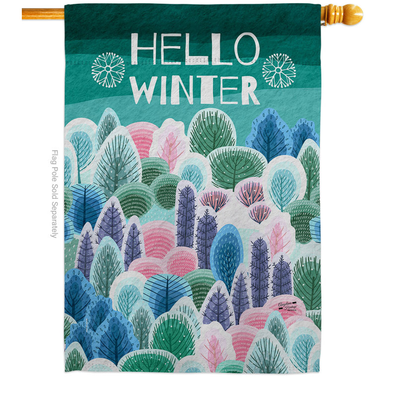 Double Sided 40'' H x 28'' W Polyester House Flag