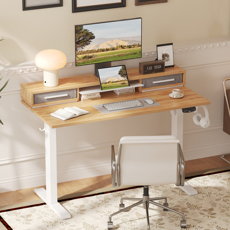 48" Electric Standing Desk With Drawers, Height Adjustable Desk With Retractable Storage Shelf, Stand Up Home Office Computer Table