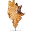 Araddhna Scultures