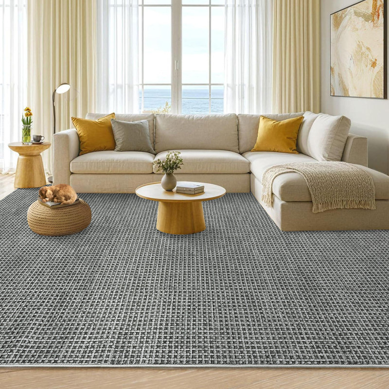 Modren Machine Washable Rug for Living Room Tiny Plaid Indoor Carpet for Home Decor Aesthetic Non-Slip Rug for Bedroom Dining Room Office Nursery Playroom Teen Dorm