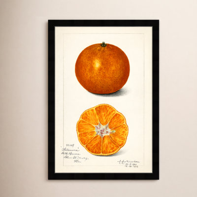 " Still Life " by Oliver Gal