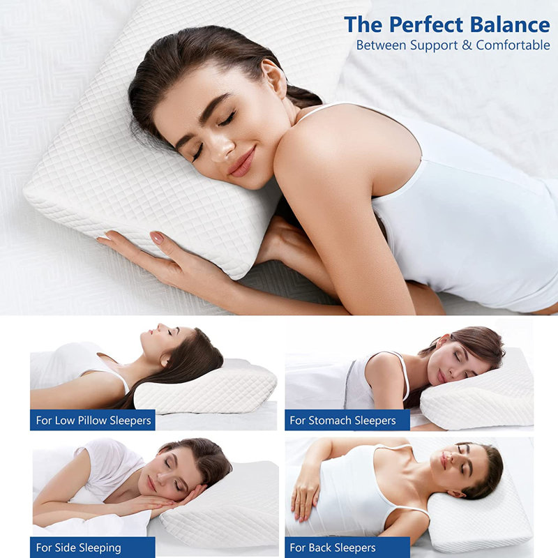 Lucasville Memory Foam Plush Pillow, Blue