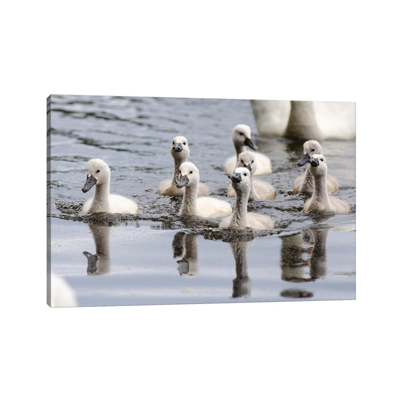 Young’uns 1 Piece Wrapped Canvas Wall Art, 20.32cm H x  30.48cm W
