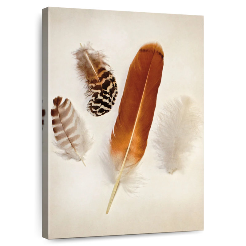 Kerner Feather Group I, 24" H x 16" W