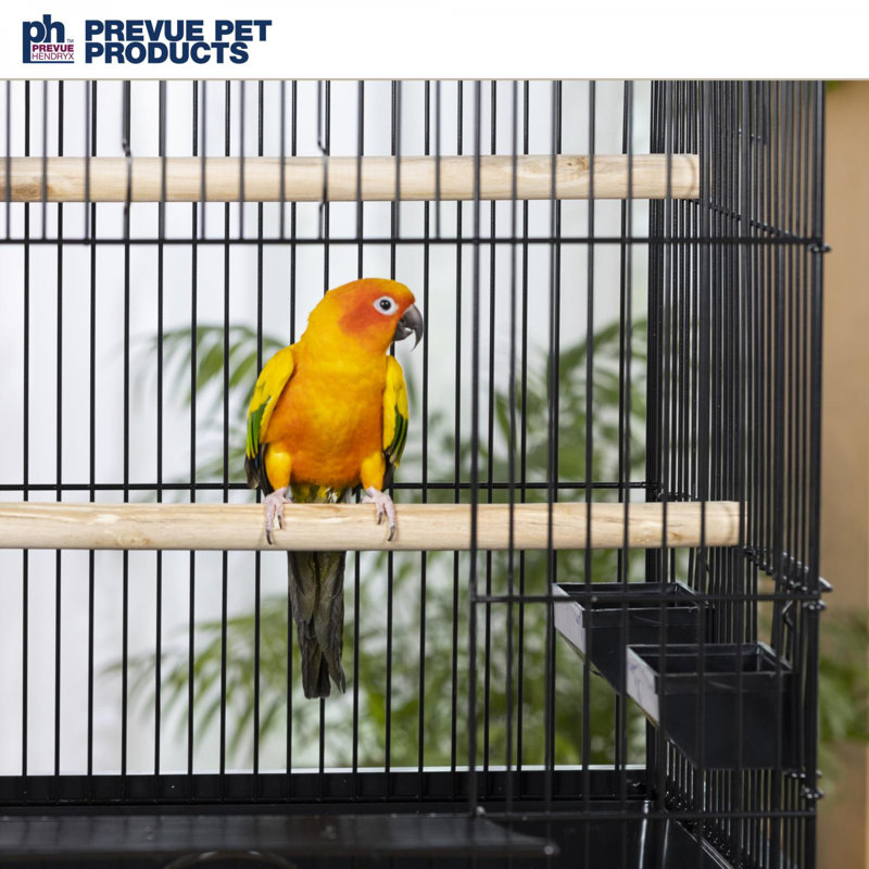 Black Square Roof Parrot Cage with Perches and Dishes