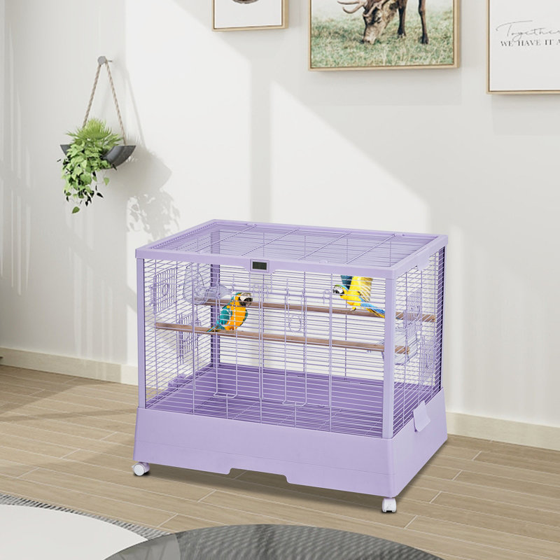 Bird Cage, Purple