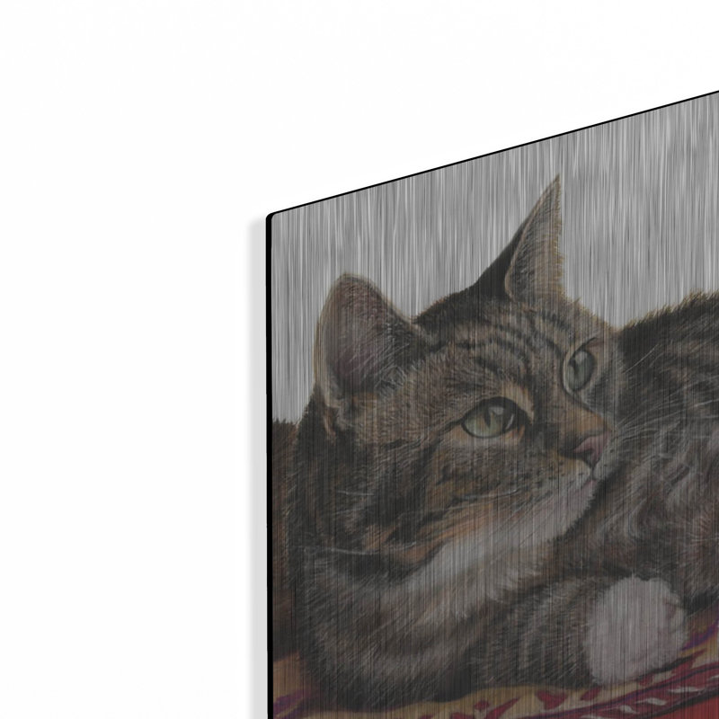 Luxe Art «Tabgies White Fond» par Janet «Tabgies White Fond» par Janet Pidoux, H 16 po x l 48 po