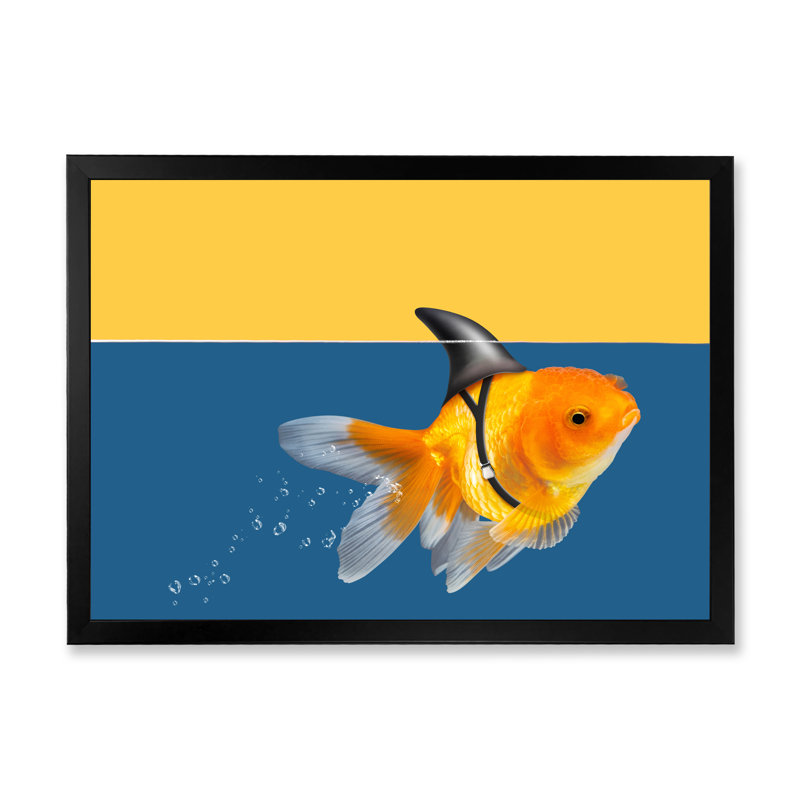 " Goldfish Shark Swimming ", Black Picture Frame, 16" H x 32" W x 1" D