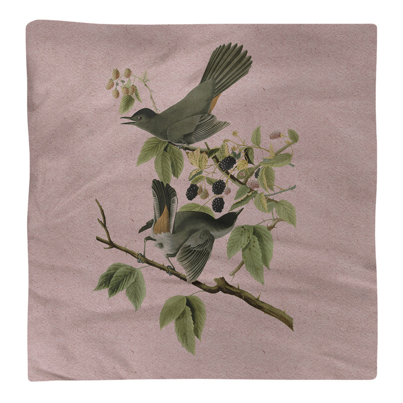 John James Audubon Cotton No Pattern Square Napkin, Pink
