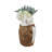 Cyndi Decorative Pottery Terracotta Vase with Woven Banana Fiber Detailing and Coastal Inspired Sculptural Design for Accent Display-1552279368