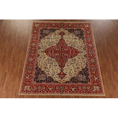 Vegetable Dye Traditional Wool Area Rug 8x10