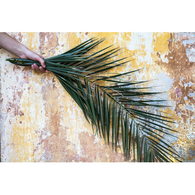 Palm Branch