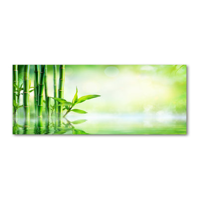 Bamboo - No Frame Print on Canvas