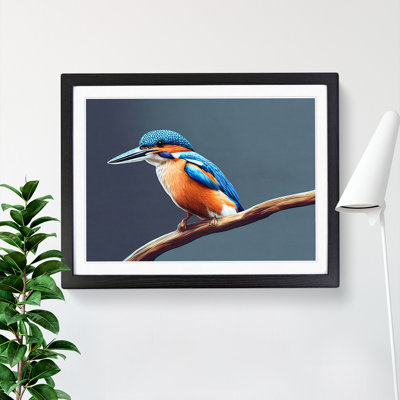 Gorgeous Kingfisher Bird - Single Picture Frame Print