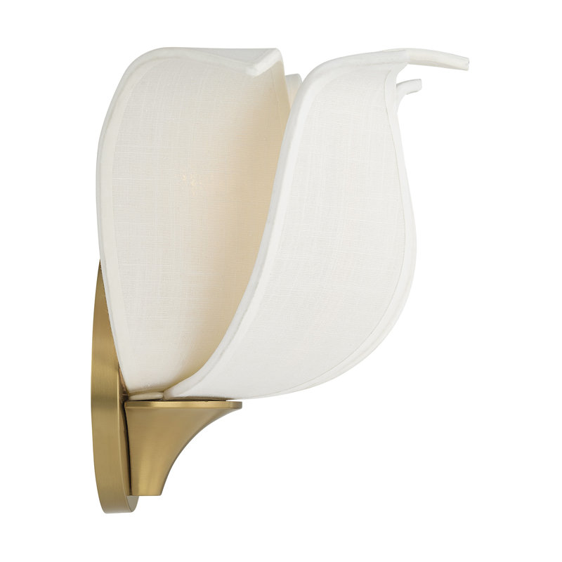 Elsie 1-Light Wall Sconce in Warm Brass by Breegan Jane