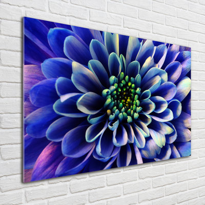 Aster - No Frame Print on Glass